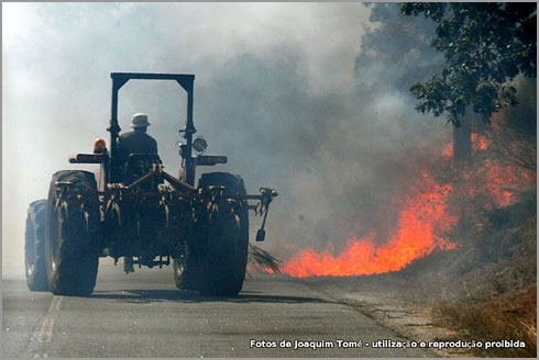 Agricultores do Sabugal combatem os incêndios - Foto Joaquim Tomé (Tutatux)